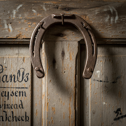 Horseshoes.png